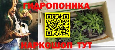 Альфа ПВП Донской