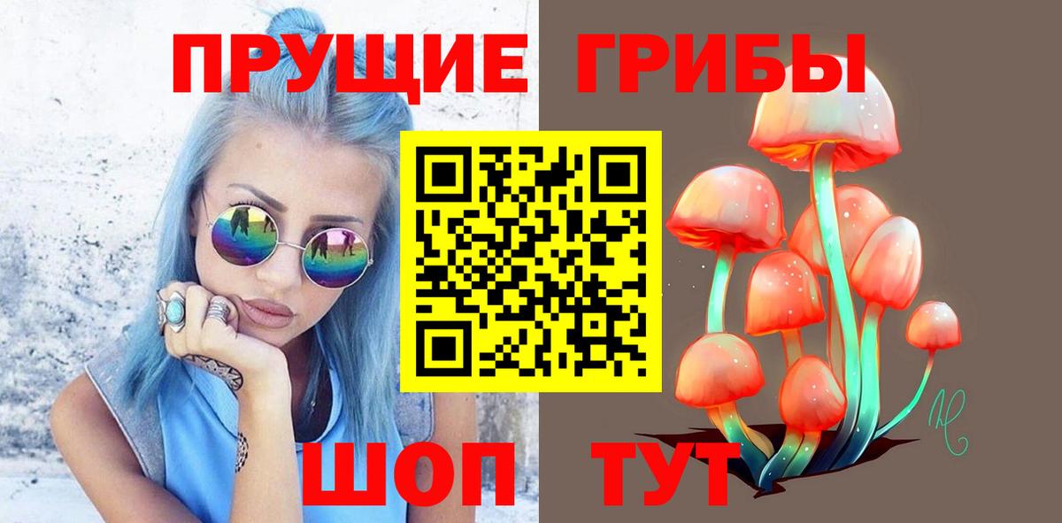 Псилоцибиновые грибы GOLDEN TEACHER  Галлюциногенные грибы Cubensis  Вход с VPN  Кохма 